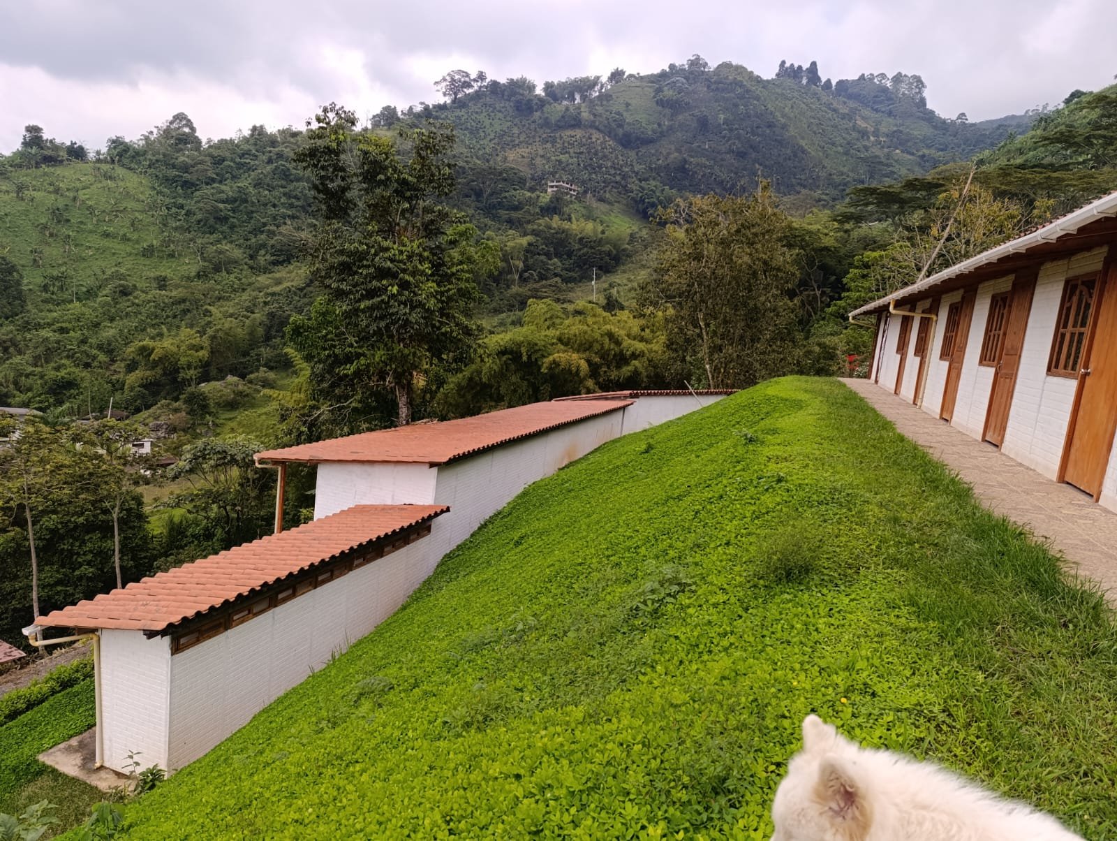 wellness retreat housing in Pereira Colombia