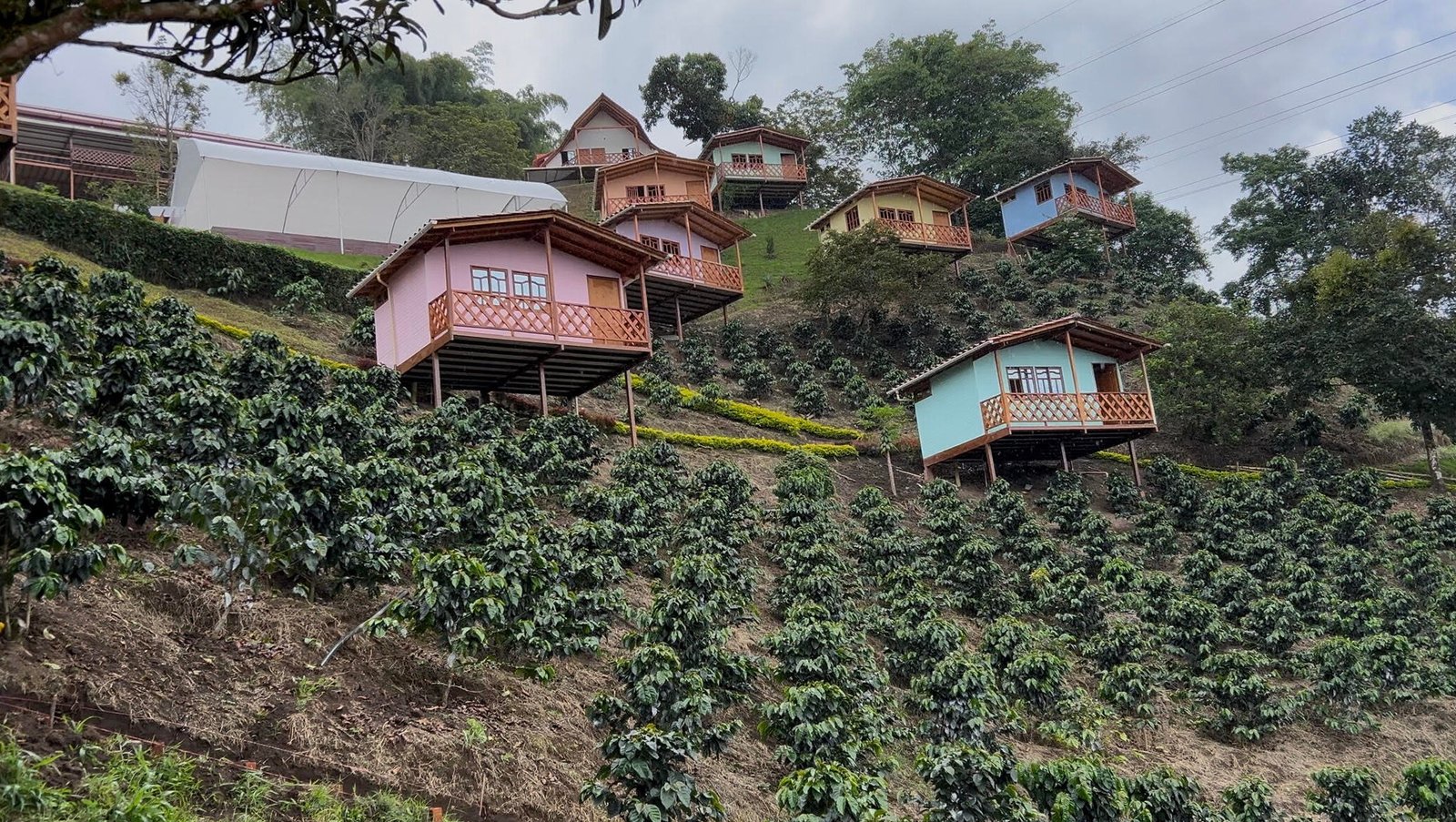 Ayahuasca Retreat Pereira Colombia Cabanas
